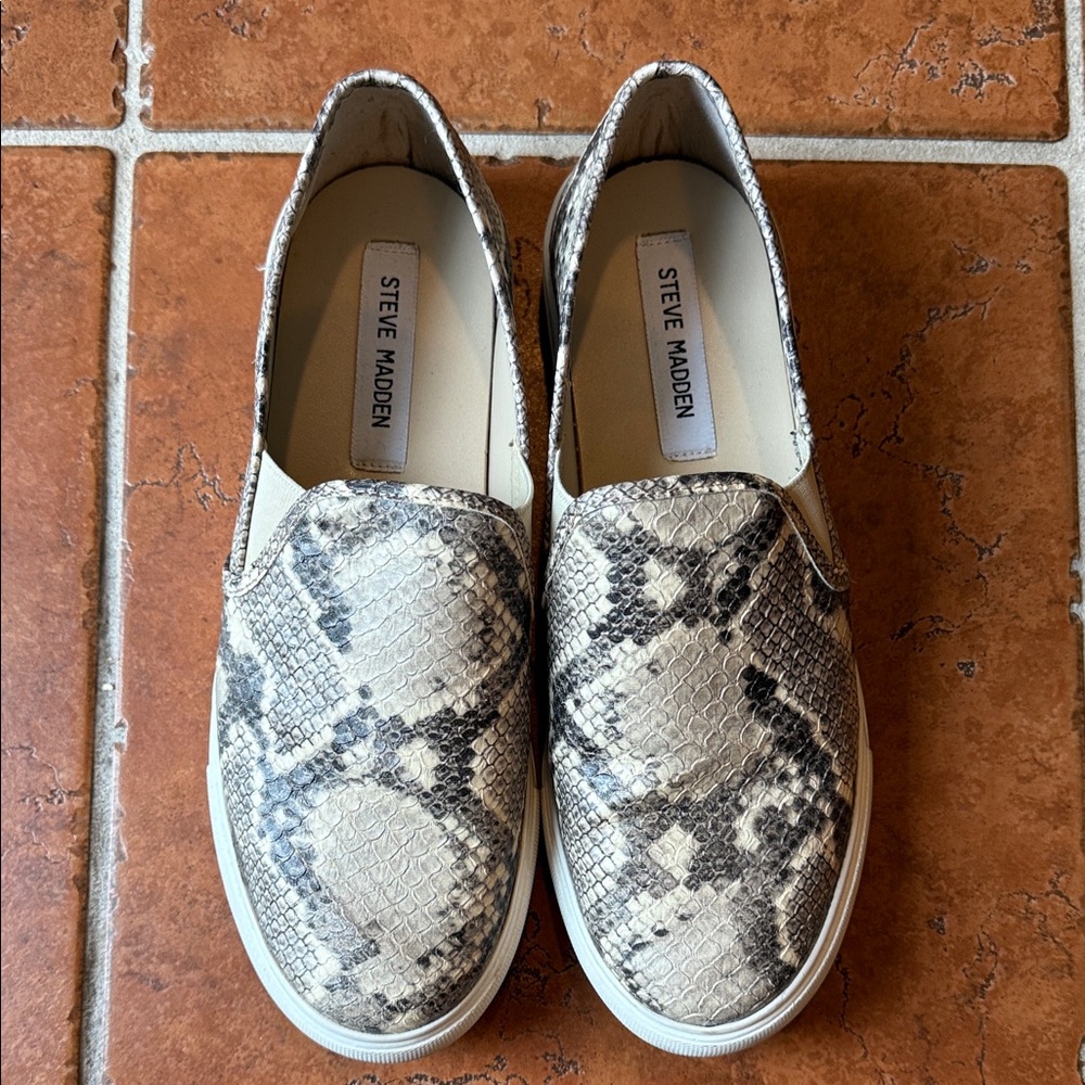 Steve Madden Women's Gray Snake Print Sneakers